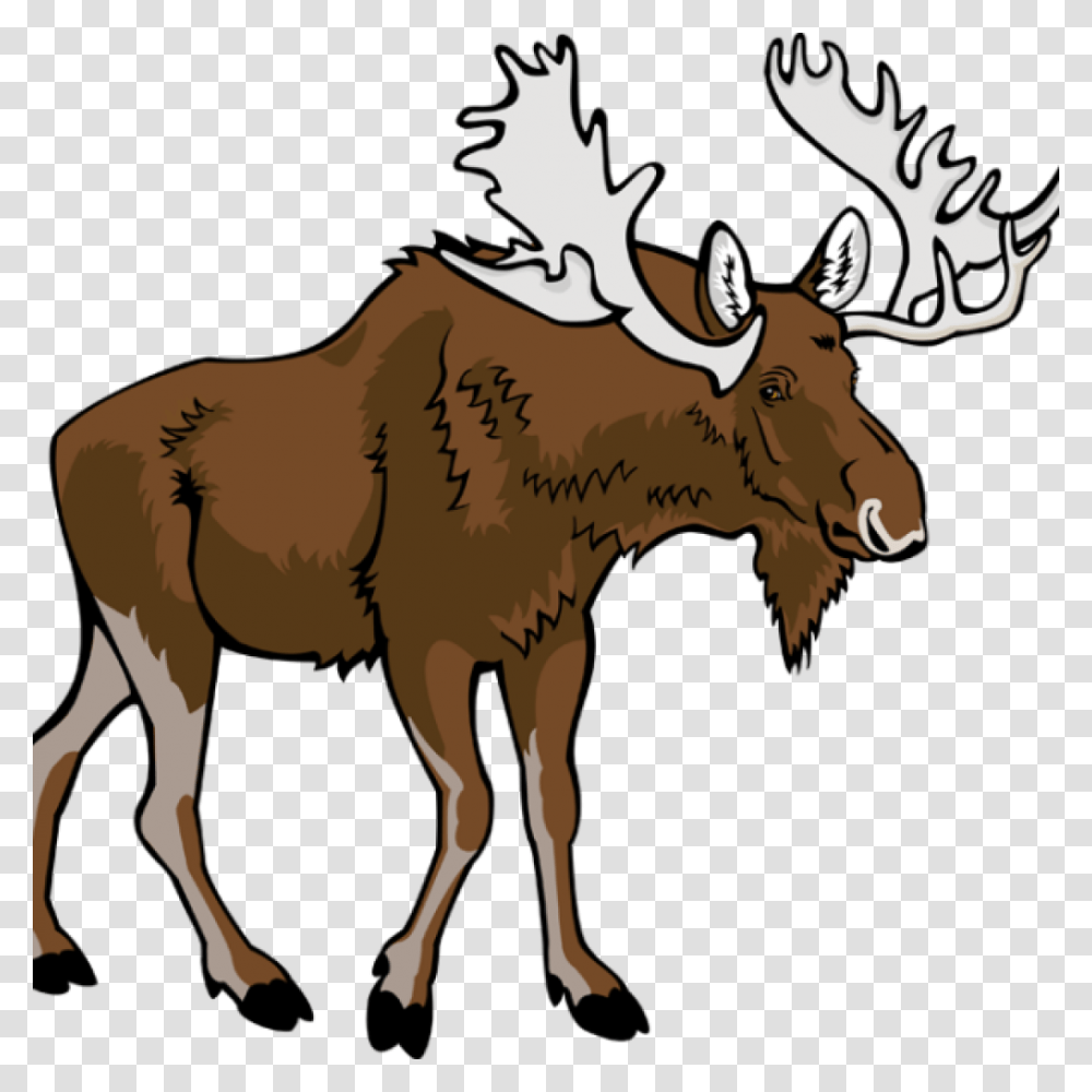 Moose Clipart Free Clip Art Images, Wildlife, Animal, Mammal, Horse Transparent Png
