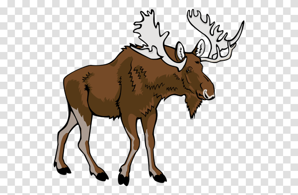 Moose Clipart Profile, Mammal, Animal, Wildlife, Cow Transparent Png