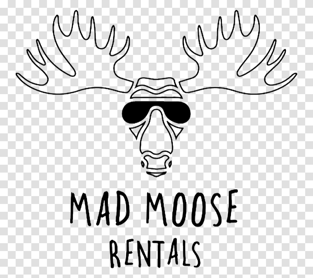 Moose Deer, Antler, Mammal, Animal, Wildlife Transparent Png