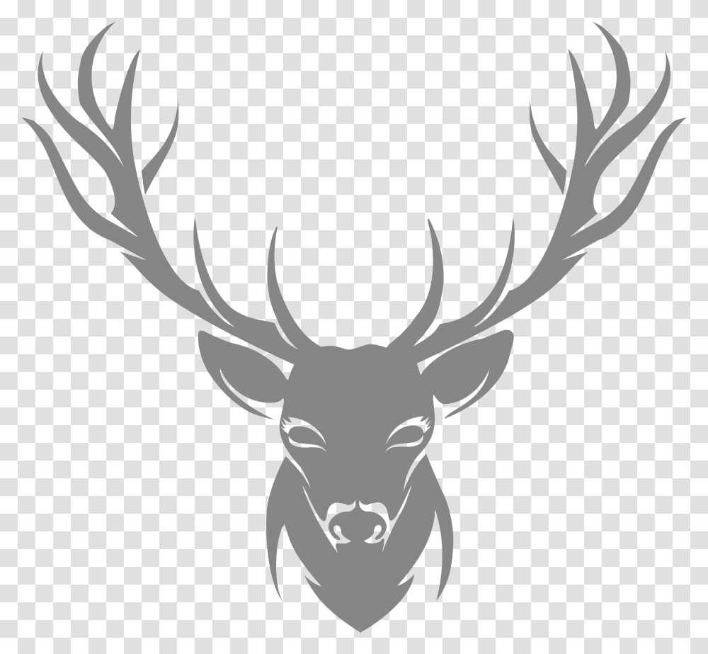 Moose Elk Stag Stencil, Antler, Deer, Wildlife, Mammal Transparent Png