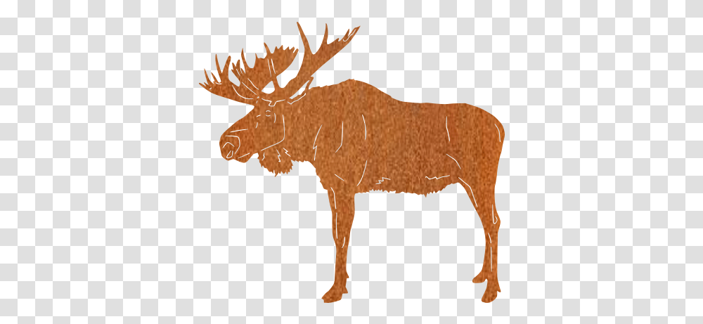 Moose Elk, Wildlife, Animal, Mammal Transparent Png