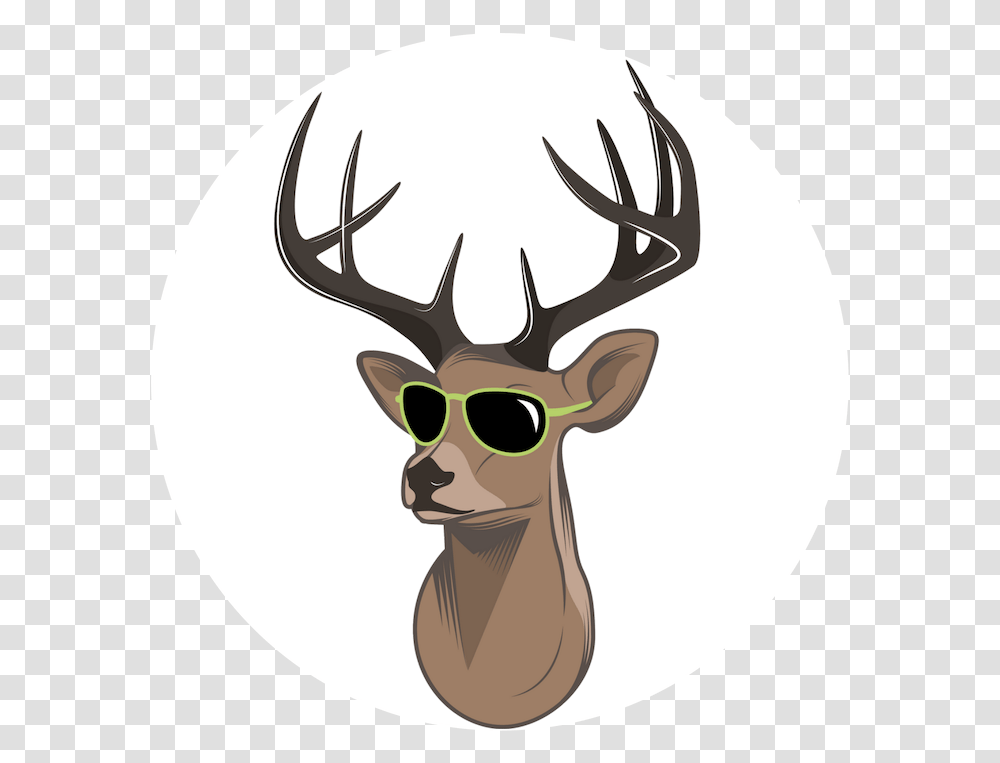 Moose Head Clipart, Antler, Sunglasses, Accessories, Accessory Transparent Png