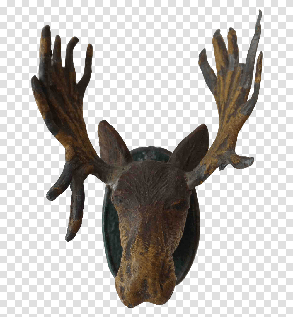 Moose Head Moose Head Background, Animal, Wildlife, Mammal, Antelope Transparent Png
