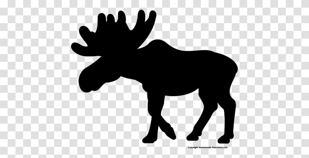 Moose Images Illustration, Mammal, Animal, Horse, Antelope Transparent Png