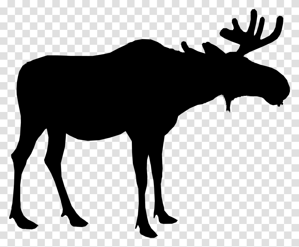 Moose Silhouette Deer Vector Graphics Portable Network Moose Background, Gray Transparent Png