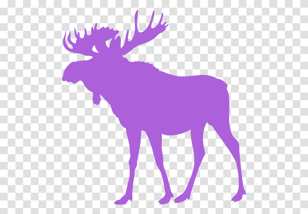 Moose Silhouette, Mammal, Animal, Wildlife Transparent Png
