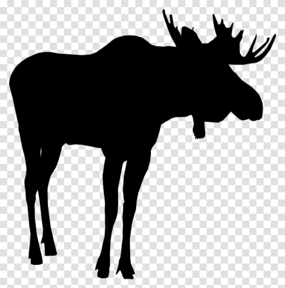 Moose Silhouette Moosesilhouette Moose Cartoon Silhouette, Nature, Outdoors, Astronomy, Outer Space Transparent Png