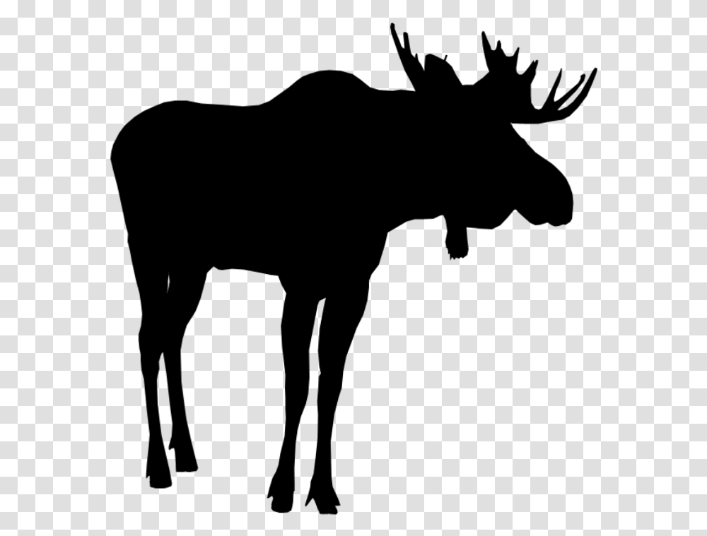 Moose Silhouette Moosesilhouette Moose, Nature, Outdoors, Astronomy, Outer Space Transparent Png