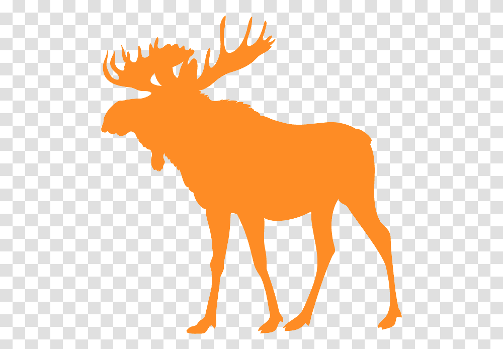 Moose Silhouette, Wildlife, Animal, Mammal Transparent Png