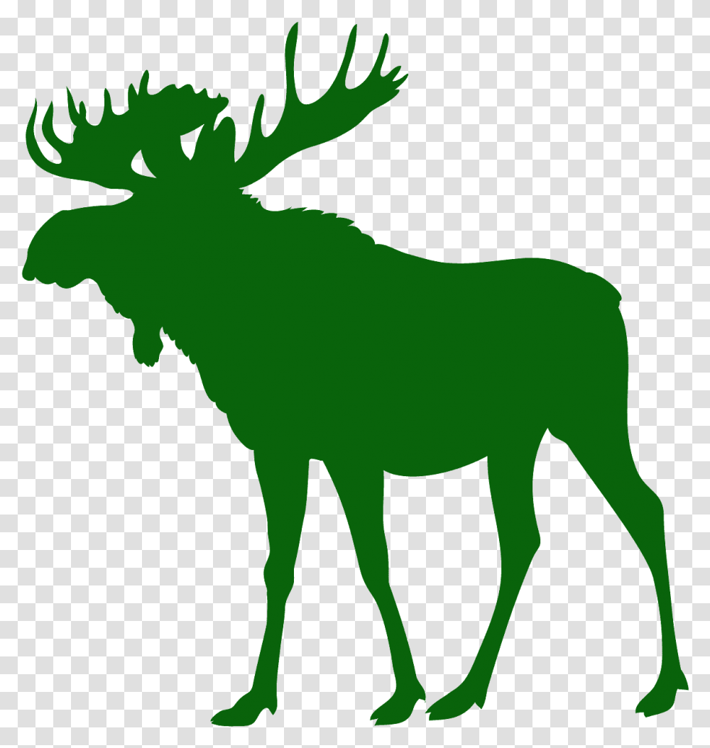 Moose Sticker, Wildlife, Animal, Mammal Transparent Png