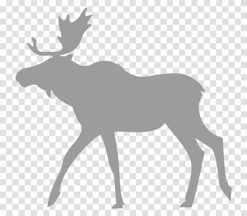 Moose To Trace, Mammal, Animal, Person, Human Transparent Png
