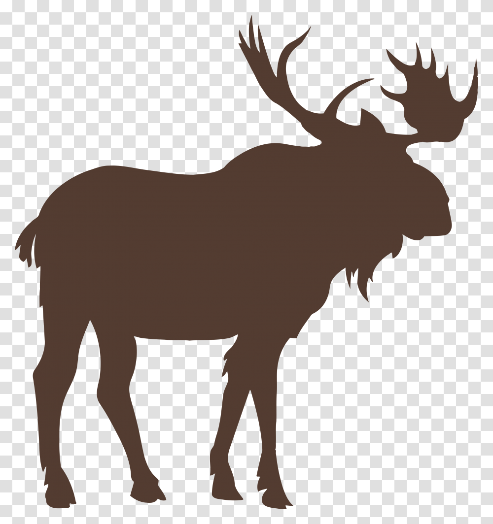 Moose Vector Graphics Royalty Free Stock Photography Moose Vector, Animal, Mammal, Wildlife, Person Transparent Png