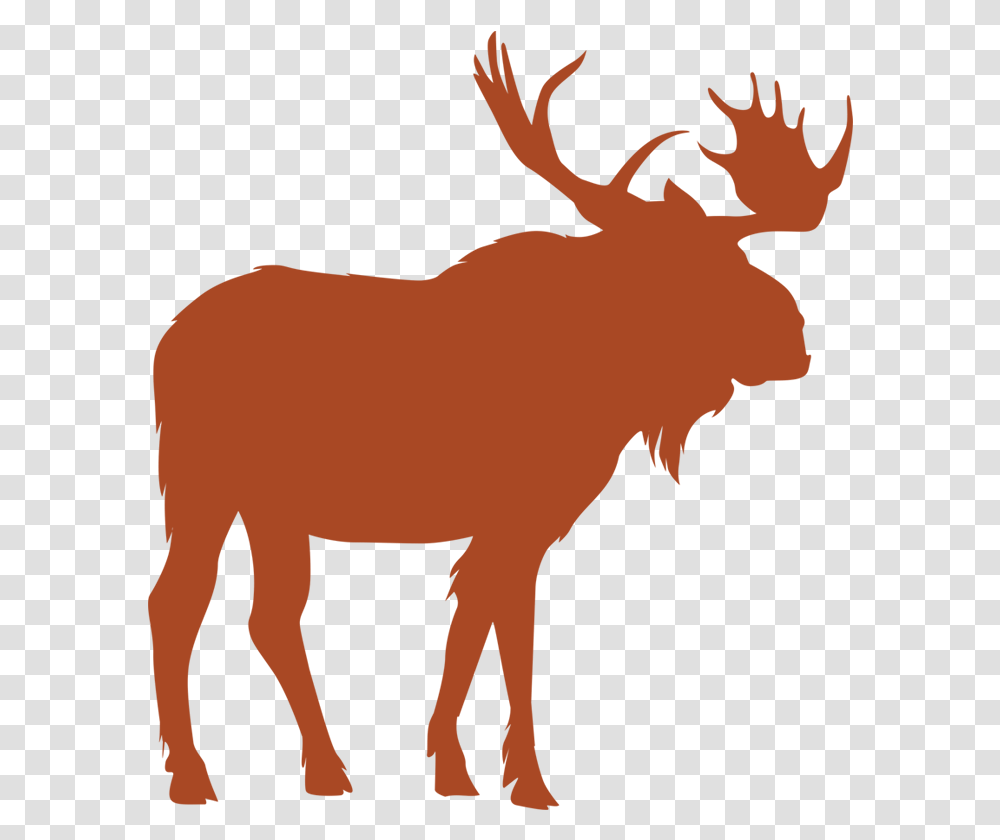 Moose Vector, Wildlife, Mammal, Animal, Person Transparent Png