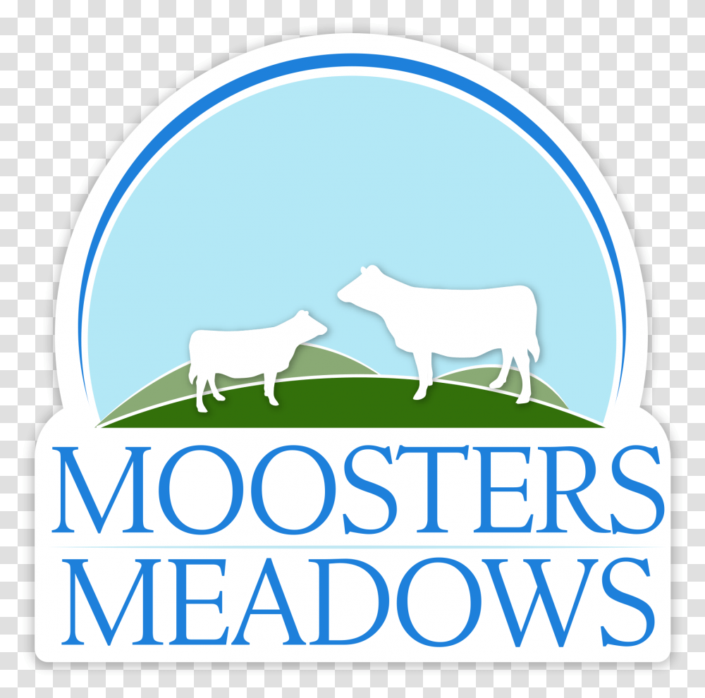 Moosters Meadows Horse, Mammal, Animal, Goat, Wildlife Transparent Png