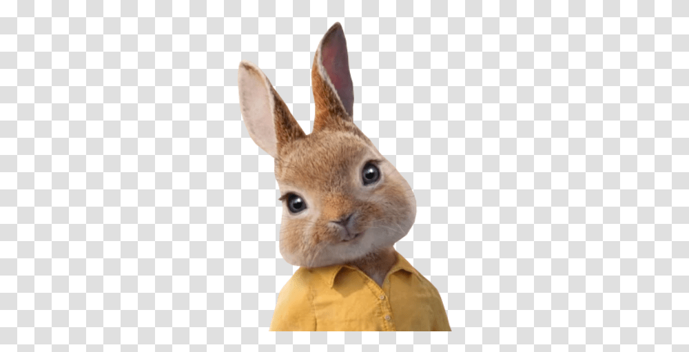 Mopsy Sony Pictures Animation Wiki Fandom Swamp Rabbit, Mammal, Animal, Rodent, Pet Transparent Png