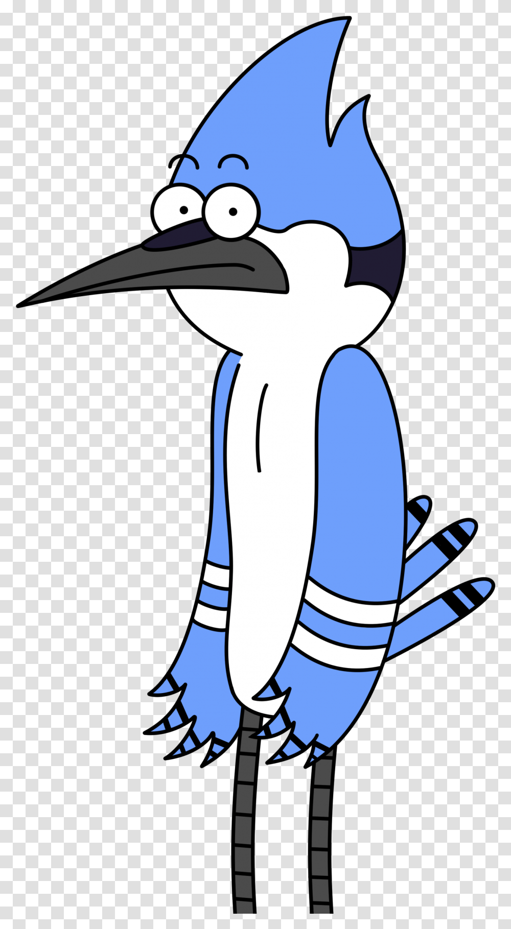 Mordecai Cartoon Image With No Bird From Regular Show, Animal, Jay, Blue Jay, Seagull Transparent Png