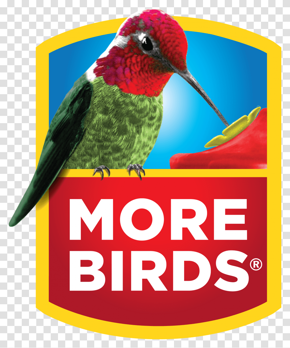 More Birds Hummingbirdlogo Classic Brands Ed Markey For Us Senate Logo, Animal, Bee Eater, Poster, Advertisement Transparent Png