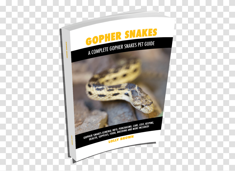 More Books Ball Pythons As Pets Burmese Python, Snake, Reptile, Animal, Poster Transparent Png