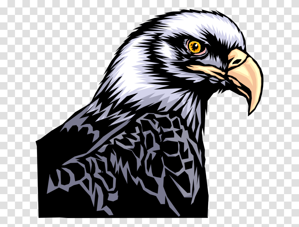 More In Same Style Group Aguila, Eagle, Bird, Animal, Bald Eagle Transparent Png