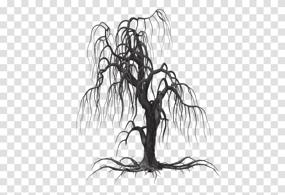 More Like Creepy Tree 11 By Creepy Tree, Root, Plant Transparent Png