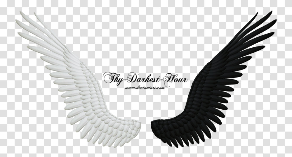 More Like Good And Evil Angel Wings 05 By Thy Black And White Wings, Bird, Animal, Snake, Reptile Transparent Png