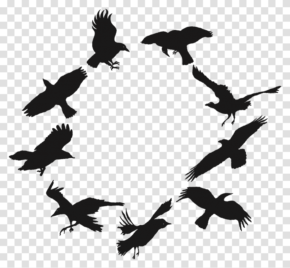 Morgen Crows Flock Crows, Silhouette, Person, Arrow Transparent Png
