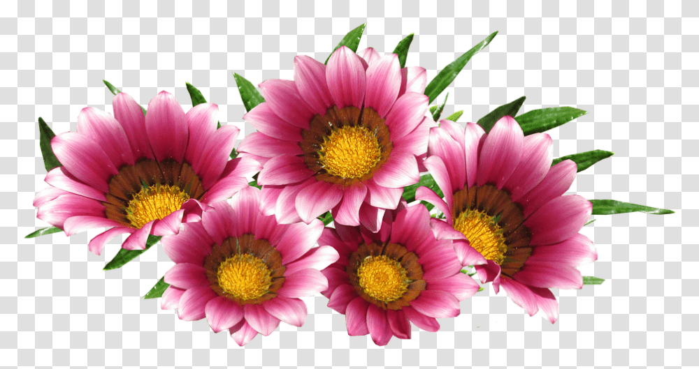 Morgenkreis Clipart Of Flowers Misc Flower Red, Plant, Treasure Flower, Blossom, Pollen Transparent Png