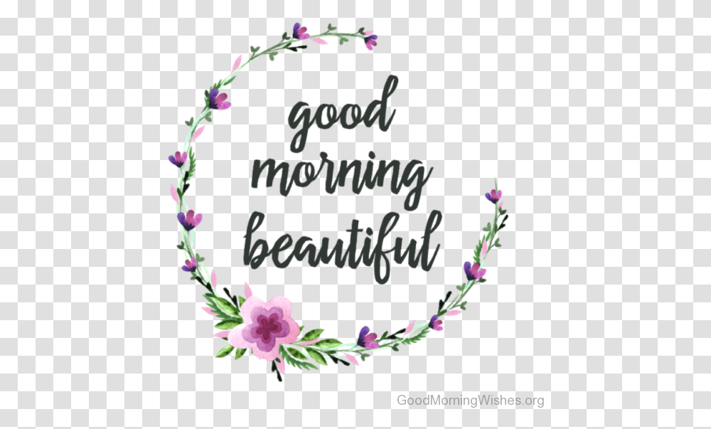 Morning Drawing Gud Beautiful Good Morning Babe, Plant, Accessories, Accessory, Flower Transparent Png
