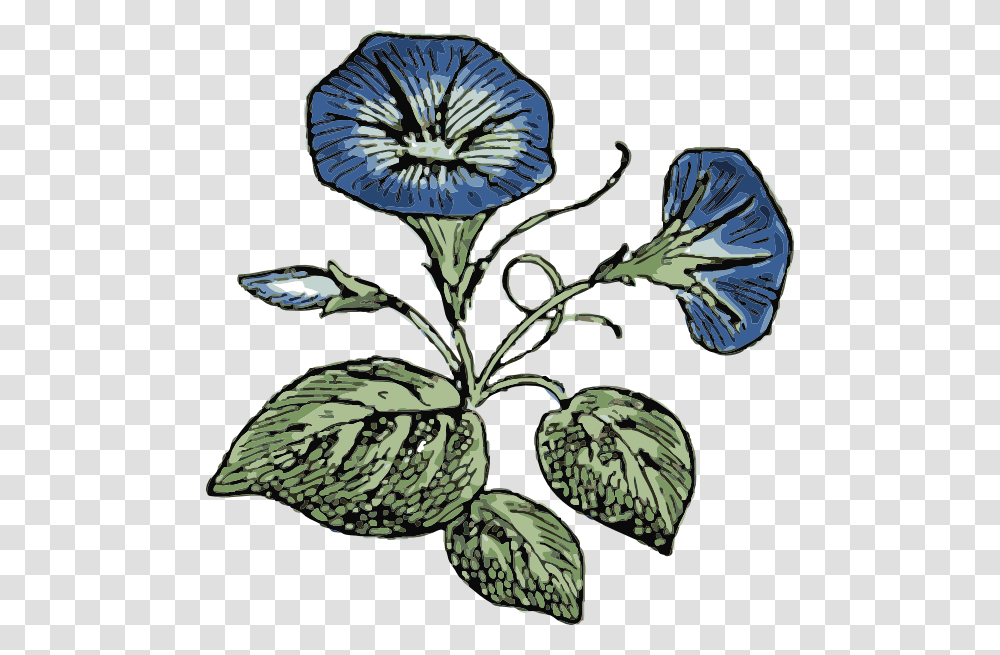 Morning Glory Clip Art, Plant, Flower, Leaf, Pineapple Transparent Png