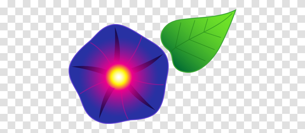 Morning Glory Flower, Balloon, Plant, Food, Nature Transparent Png