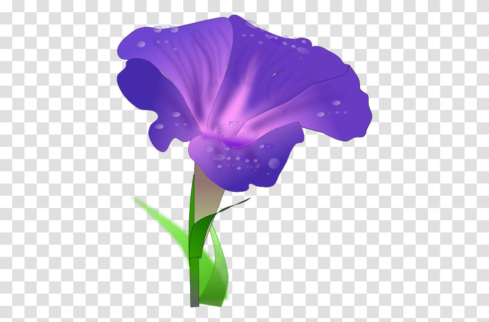 Morning Glory Flower Clip Art For Web, Plant, Blossom, Geranium, Iris Transparent Png