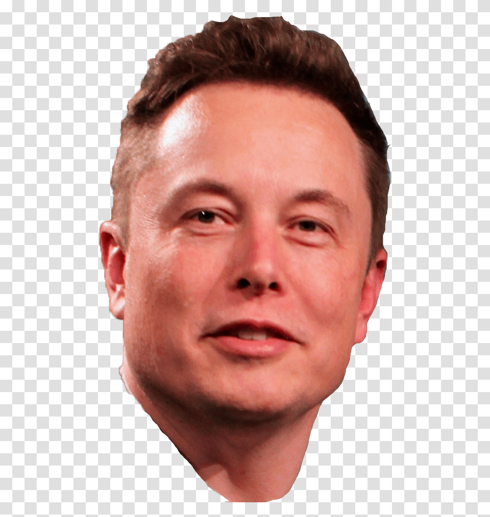 Morning Routines Of Entrepreneurs Elongated Musk, Head, Face, Person, Human Transparent Png