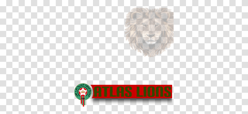 Moroccan National Team Lions Royal Moroccan Football Federation, Wildlife, Mammal, Animal, Dog Transparent Png