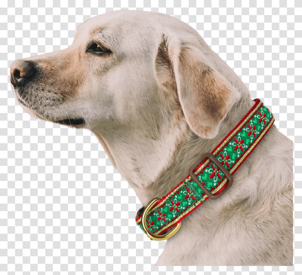 Morocco Flower Dog Collar With Bow Tie Amp Keychain Included Dog With Seresto, Pet, Canine, Animal, Mammal Transparent Png