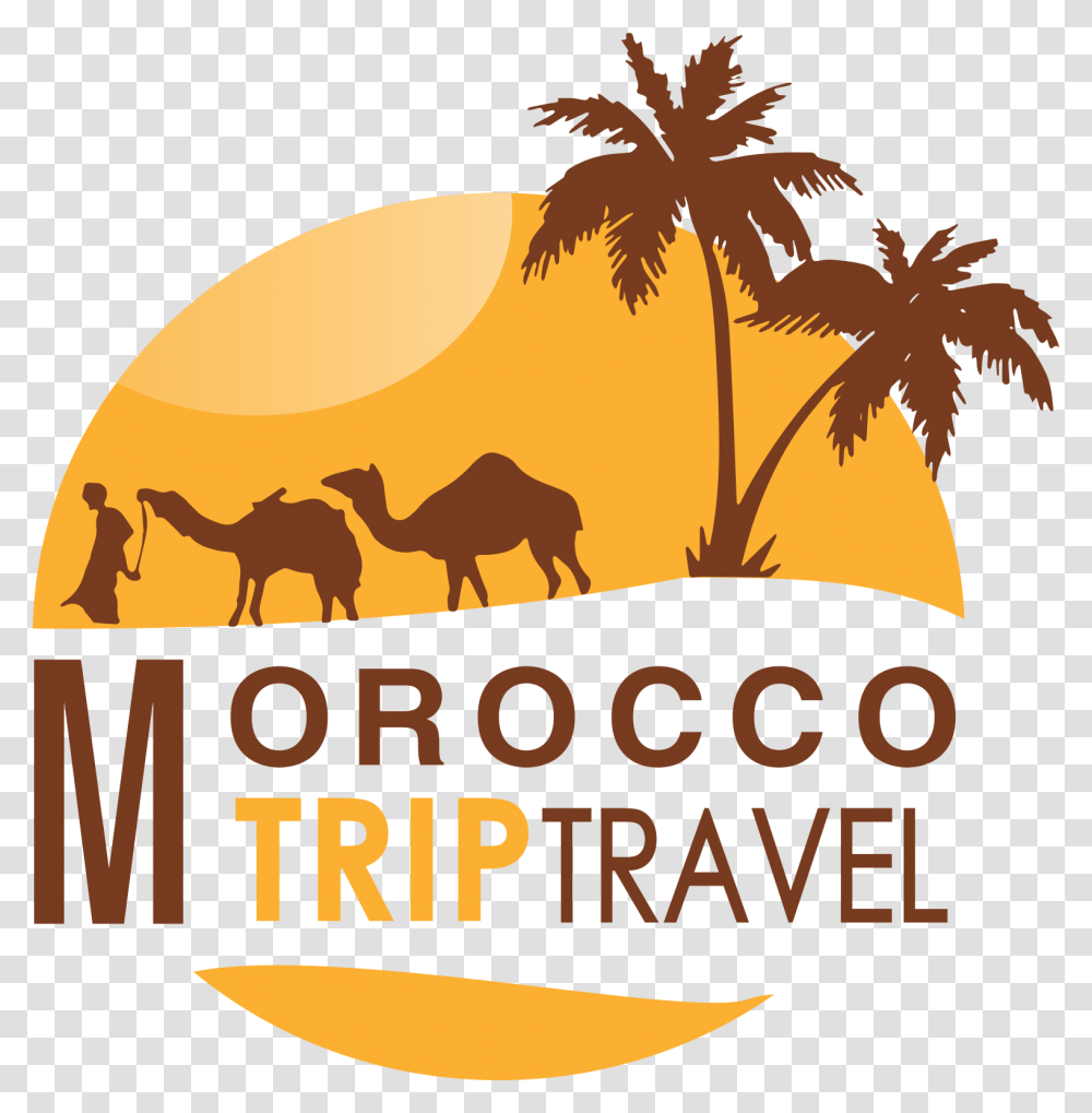 Morocco Trip Travel, Horse, Advertisement, Plant, Poster Transparent Png