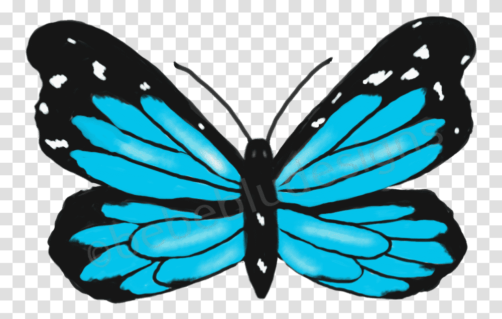 Morpho Blue Butterfly Limenitis, Insect, Invertebrate, Animal, Monarch Transparent Png