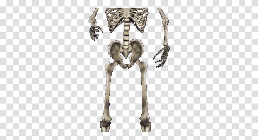 Morrowind Skull, Skeleton, Person, Human Transparent Png