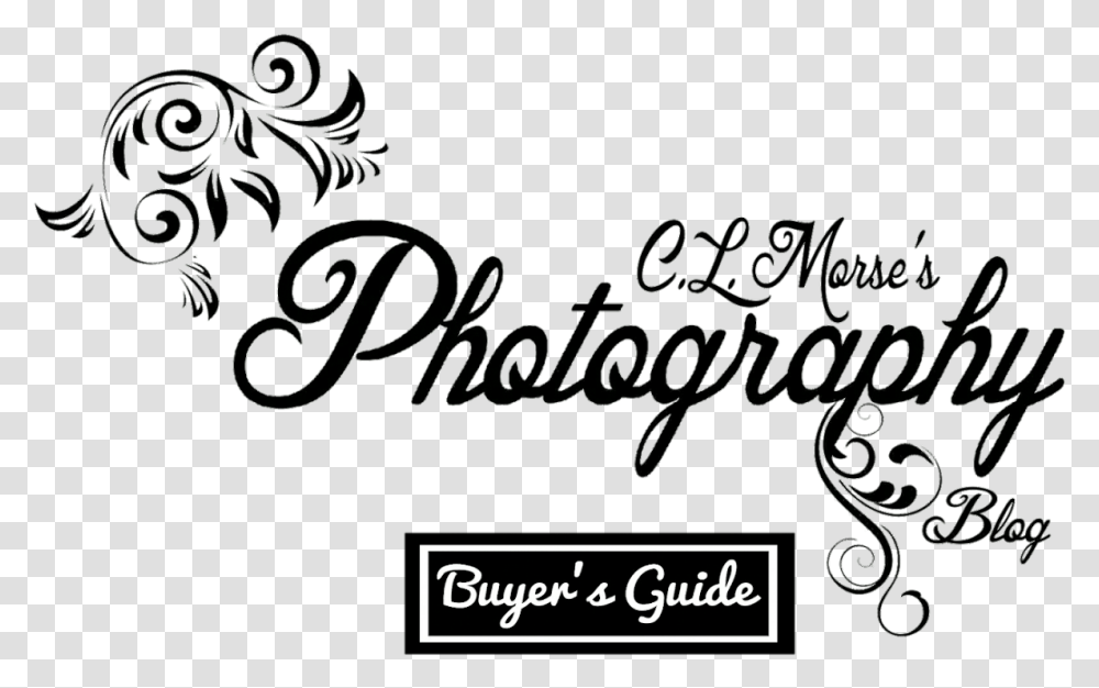 Morse S Photography Buyer S Guide Floral Design, Calligraphy, Handwriting, Alphabet Transparent Png