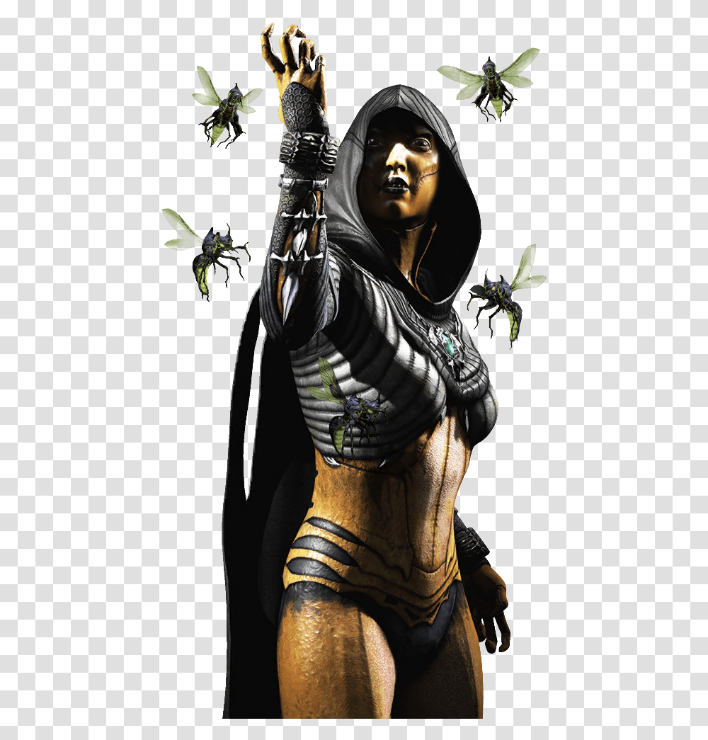 Mortal Kombat X Deborah, Insect, Invertebrate, Animal, Wasp Transparent Png