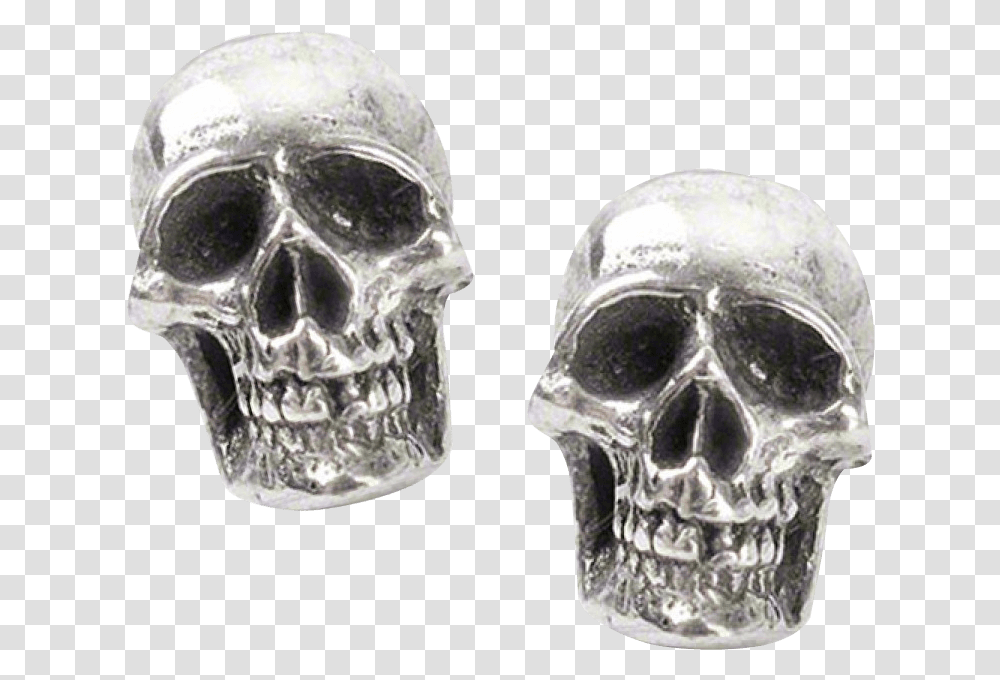Mortuarium Skull Stud Earrings Skull Earring, Jaw, Skeleton, X-Ray, Medical Imaging X-Ray Film Transparent Png