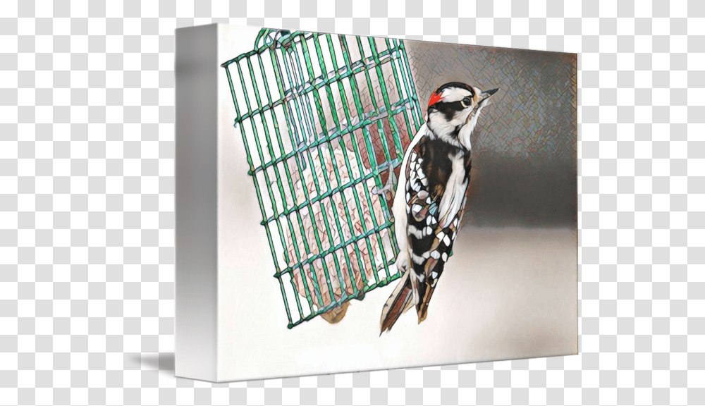 Mosaic Downy Woodpecker Downy Woodpecker, Bird, Animal, Flicker Bird, Beak Transparent Png
