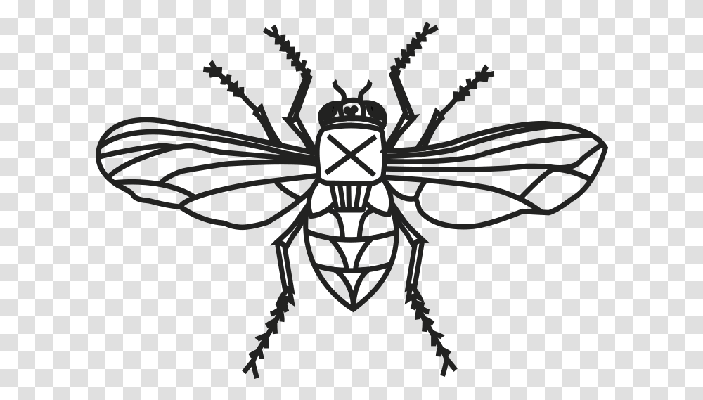 Mosca Bee, Insect, Invertebrate, Animal, Wasp Transparent Png