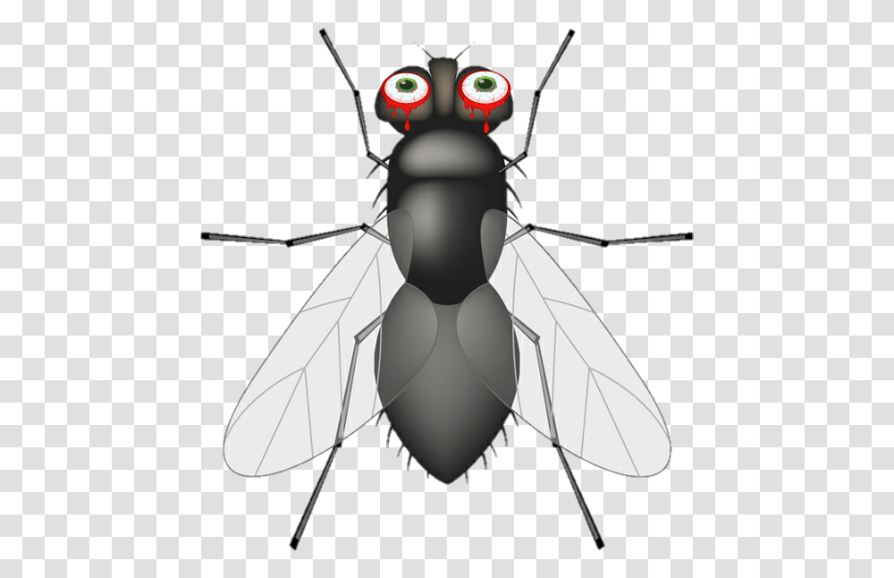 Mosca Insects And Bugs, Invertebrate, Animal, Lamp, Mosquito Transparent Png