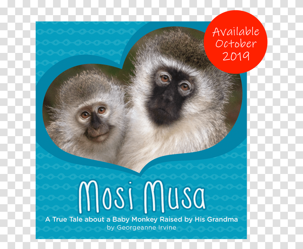 Mosi Musa A True Tale About A Baby Monkey Raised By, Mammal, Animal, Wildlife, Bird Transparent Png