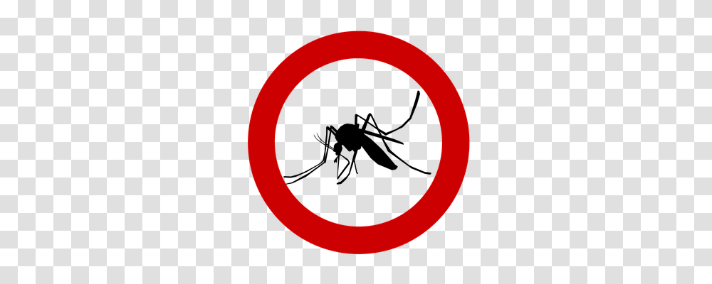 Mosquito Animals, Label Transparent Png