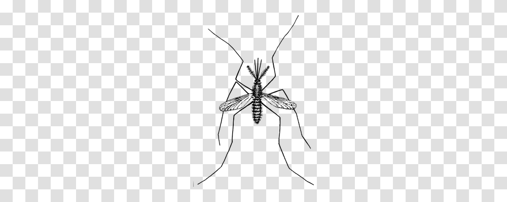 Mosquito Technology, Gray, World Of Warcraft Transparent Png