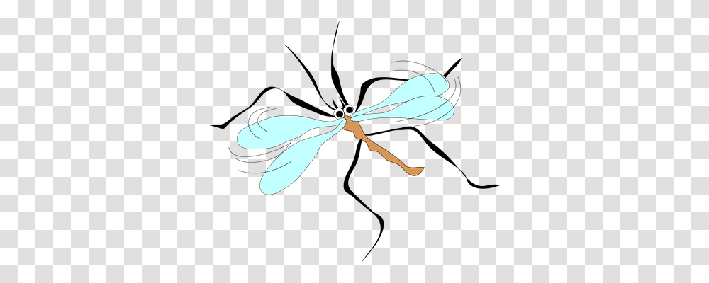 Mosquito Animals, Dragonfly, Insect, Invertebrate Transparent Png