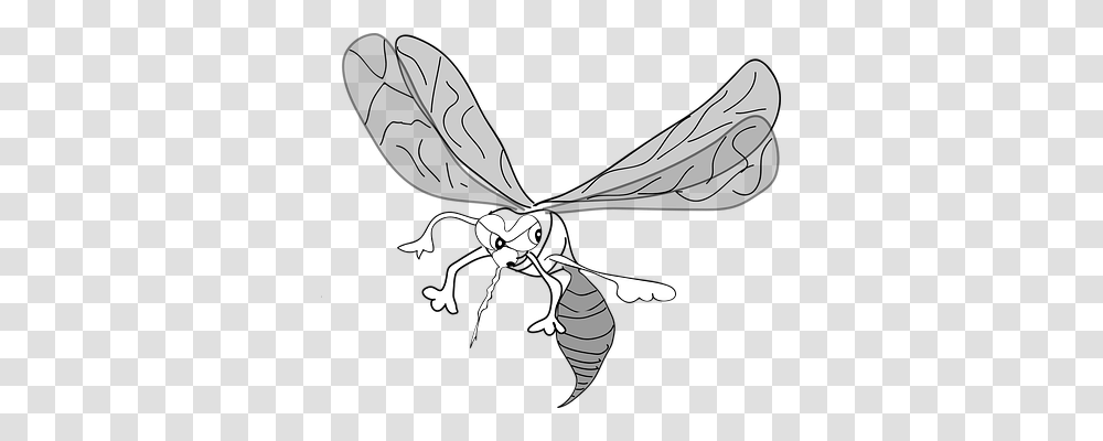 Mosquito Emotion, Wasp, Bee, Insect Transparent Png