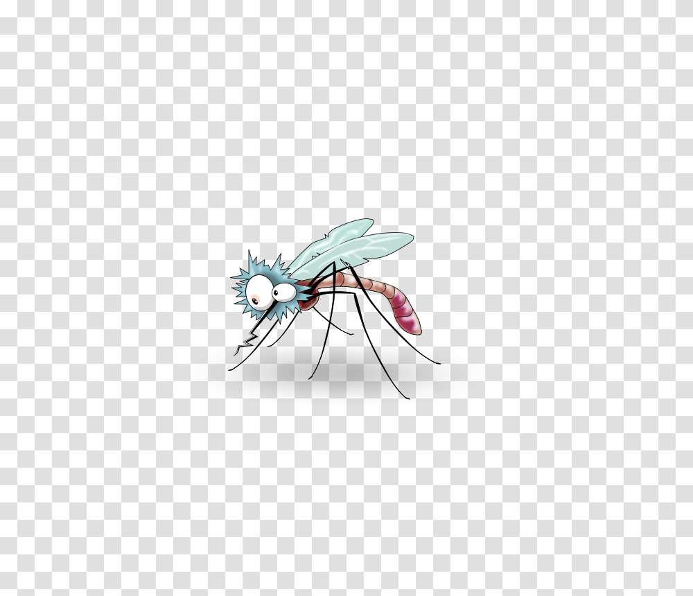 Mosquito, Animals, Wasp, Bee, Insect Transparent Png