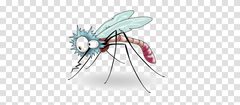 Mosquito Background Mosquito Gif Background, Insect, Invertebrate, Animal Transparent Png